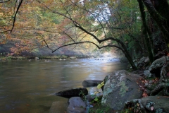 October Morning on the Little River, Tennessee